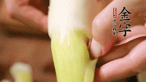 茭白剝?nèi)ネ鈿?，先切片再切絲。