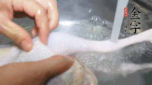 土雞處理干凈。（如果買(mǎi)不到土雞，一般的雞也是可以的，不過(guò)需要汆水。溫水下鍋汆燙7分鐘左右，汆燙時(shí)需要適時(shí)翻動(dòng)。汆燙雞肉是為了去掉生腥味，也是一次徹底清潔的過(guò)程，可以使燉出的湯清爽而不渾濁，鮮香而無(wú)異味）